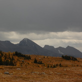Under a blanket of gray clouds with rain falling. The vibrant wildflowers are less visible, with mountains in the distance.