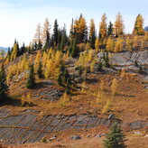 A landscape with rocky terrain covered in autumnal trees, including evergreens and deciduous trees with yellow-orange leaves.