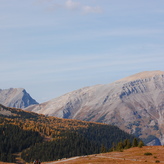 Mountain landscape with pine trees in the foreground and a clear blue sky in the background.