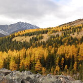 Autumn scene in the mountains with yellow and green trees, rocky terrain, and snow-capped peaks under cloudy skies.