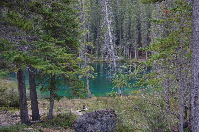 A serene forest scene with tall trees framing a clear, turquoise lake nestled among the foliage.