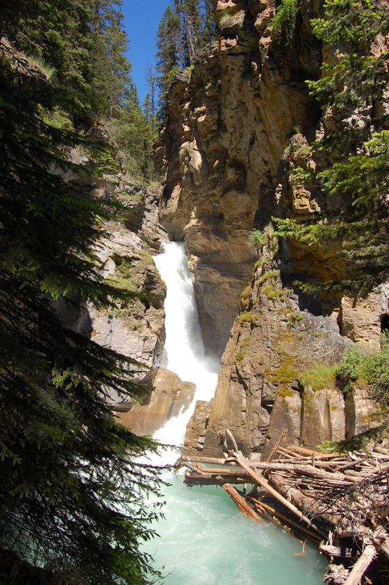 A rushing waterfall surrounded by rocky cliffs and trees in a scenic natural landscape. Fallen logs are strewn across the base of the waterfall.