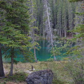 A serene forest scene with tall trees framing a clear, turquoise lake nestled among the foliage.