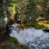 A rushing mountain stream flowing through a lush forest with moss-covered rocks and trees.