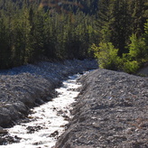 A rushing stream flows through a rocky valley surrounded by tall evergreen trees, with a bear and cub in the distance.